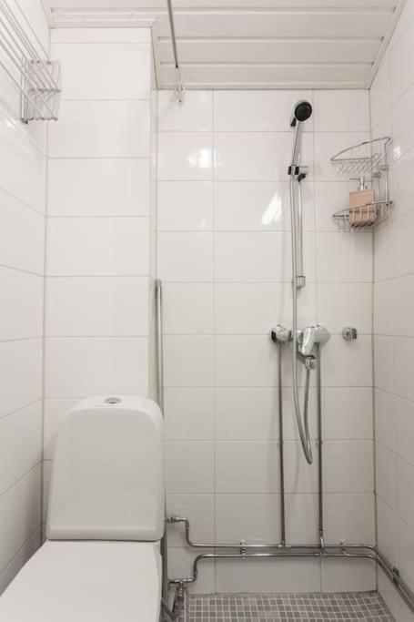 Appartement Kodikas Huoneisto Helsingin Keskustassa à Helsinki Extérieur photo